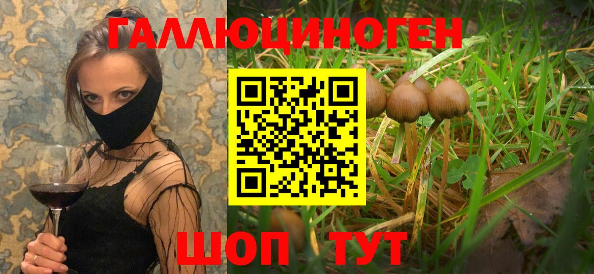 Галлюциногенные грибы прущие грибы  Галлюциногенные грибы ЛСД  Вход с VPN  Реутов 